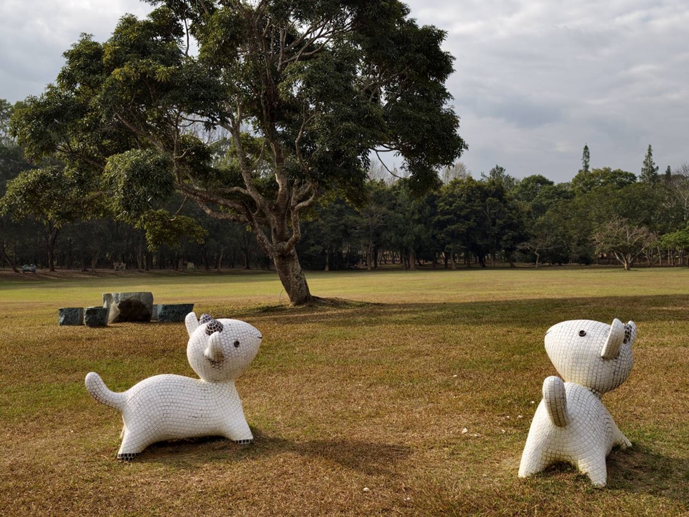 南投一日遊。暨大櫻花季 結合櫻花、茶道、音樂 交織一場感官饗宴! 南投一日遊。暨大櫻花季 結合櫻花、茶道、音樂 交織一場感官饗宴!