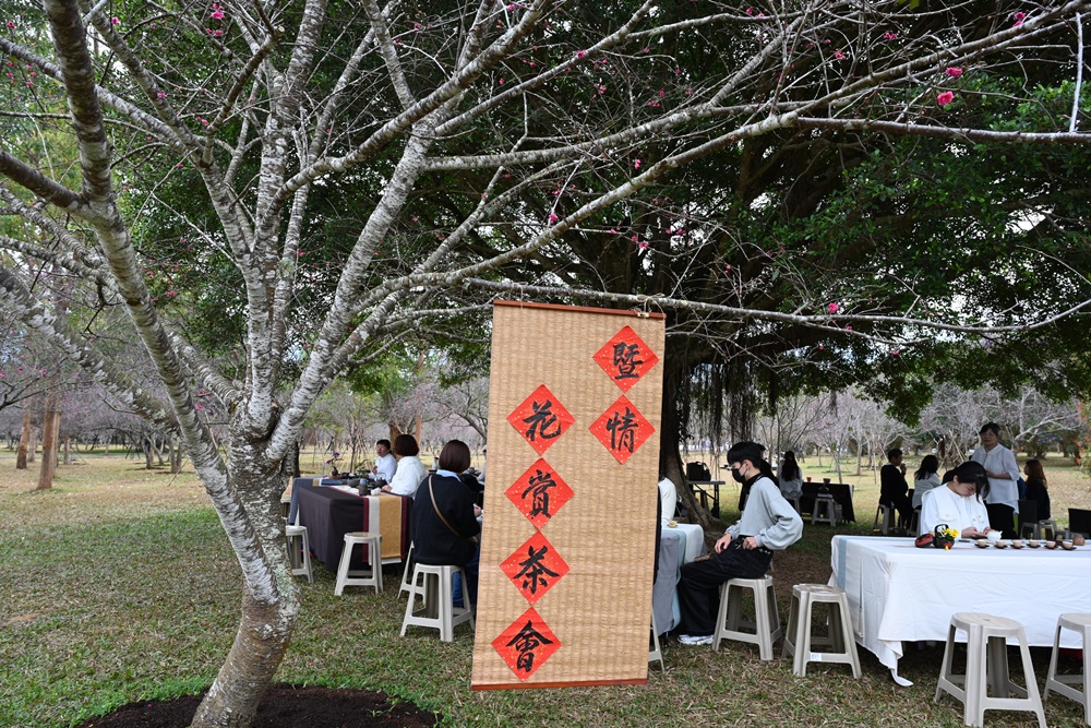 南投一日遊。暨大櫻花季 結合櫻花、茶道、音樂 交織一場感官饗宴! 南投一日遊。暨大櫻花季 結合櫻花、茶道、音樂 交織一場感官饗宴!