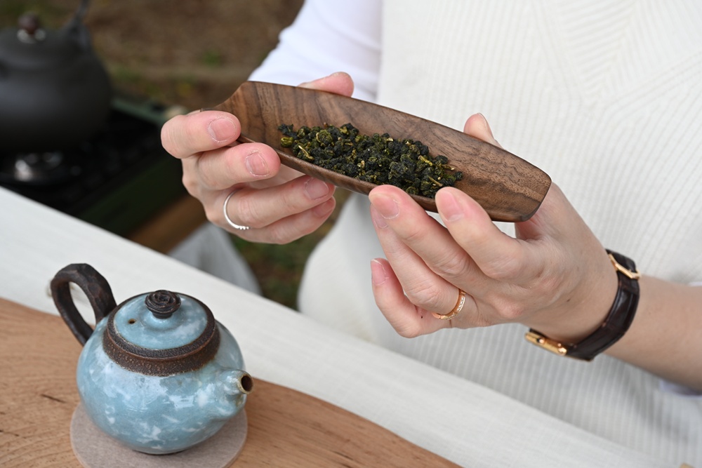 南投一日遊。暨大櫻花季 結合櫻花、茶道、音樂 交織一場感官饗宴! 南投一日遊。暨大櫻花季 結合櫻花、茶道、音樂 交織一場感官饗宴!