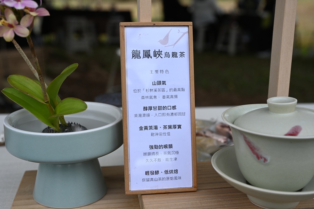 南投一日遊。暨大櫻花季 結合櫻花、茶道、音樂 交織一場感官饗宴! 南投一日遊。暨大櫻花季 結合櫻花、茶道、音樂 交織一場感官饗宴!