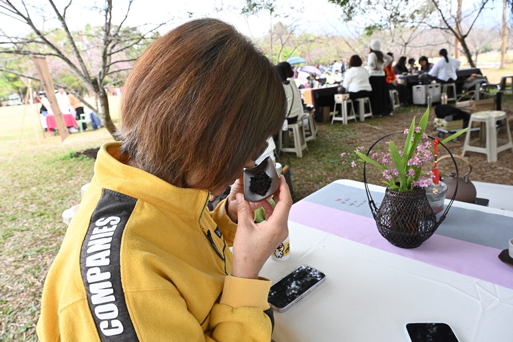 南投一日遊。暨大櫻花季 結合櫻花、茶道、音樂 交織一場感官饗宴! 南投一日遊。暨大櫻花季 結合櫻花、茶道、音樂 交織一場感官饗宴!