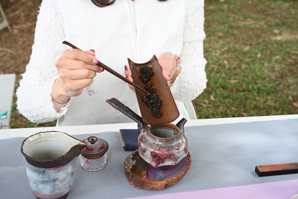 南投一日遊。暨大櫻花季 結合櫻花、茶道、音樂 交織一場感官饗宴! 南投一日遊。暨大櫻花季 結合櫻花、茶道、音樂 交織一場感官饗宴!