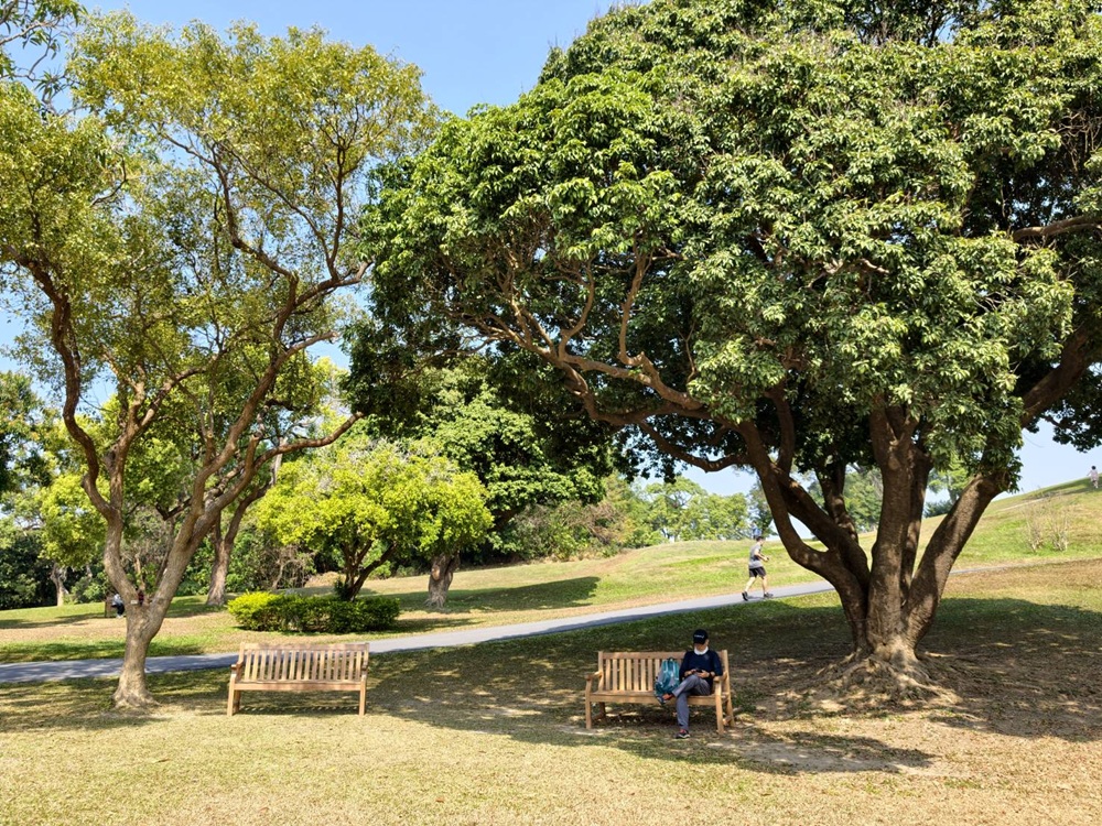 高雄旅遊。果嶺自然公園＋澄清湖 森棲盎然藝術展 9大裝置藝術亮點，大眼睛、章魚、巨型蛇頸龍 走春必拍！