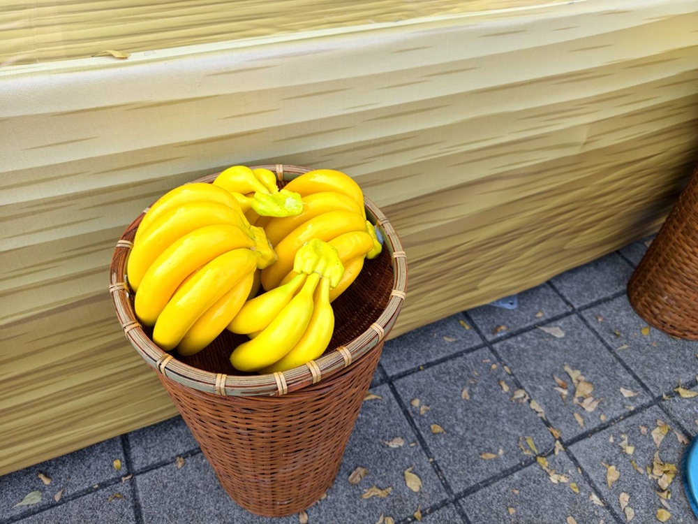 2026旗山燈會|「旗馬追光‧新春蕉點」主燈「金蕉枇」武德殿、旗山老街 2026旗山燈會|「旗馬追光‧新春蕉點」主燈「金蕉枇」武德殿、旗山老街