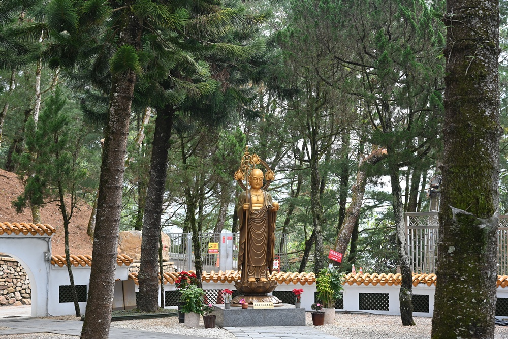 南投二日遊。台灣好行日月潭線+日月潭環湖線 賞櫻、日月潭美食、景點推薦! 南投二日遊。台灣好行日月潭線+日月潭環湖線 賞櫻、日月潭美食、景點推薦!