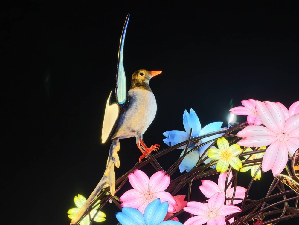 2026台灣燈會在嘉義｜「光躍台灣・點亮嘉義」超級瑪利歐、青森睡魔、宗教燈區、小提燈領取、交通接駁全攻略！