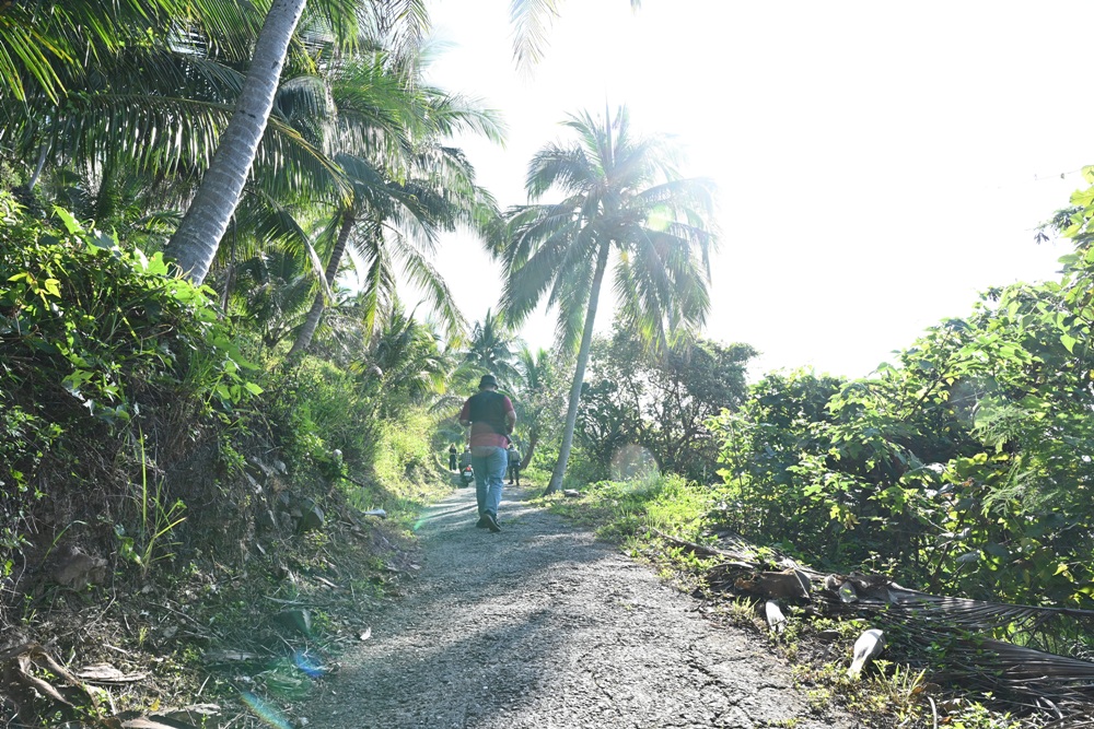 台東金崙觀景台｜俯瞰金崙大橋、金崙火車站＋太平洋海景秘境 絕美拍照景點推薦！