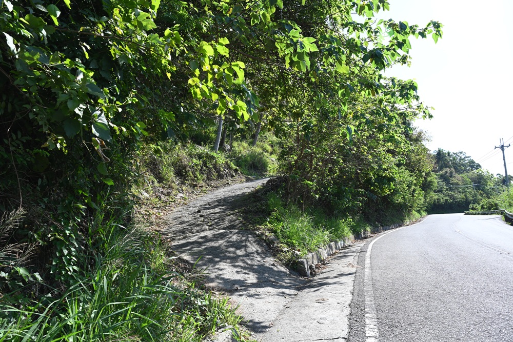 台東金崙觀景台｜俯瞰金崙大橋、金崙火車站＋太平洋海景秘境 絕美拍照景點推薦！