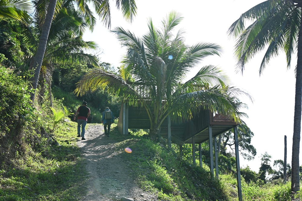 台東金崙觀景台｜俯瞰金崙大橋、金崙火車站＋太平洋海景秘境 絕美拍照景點推薦！