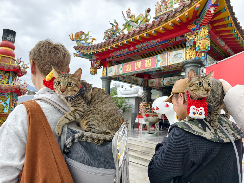 台東太麻里｜百年土地公廟「福興宮」貓廟2.0版本、台版雷門、招財貓、彩繪壁畫、祈福御守、水籤詩全攻略！