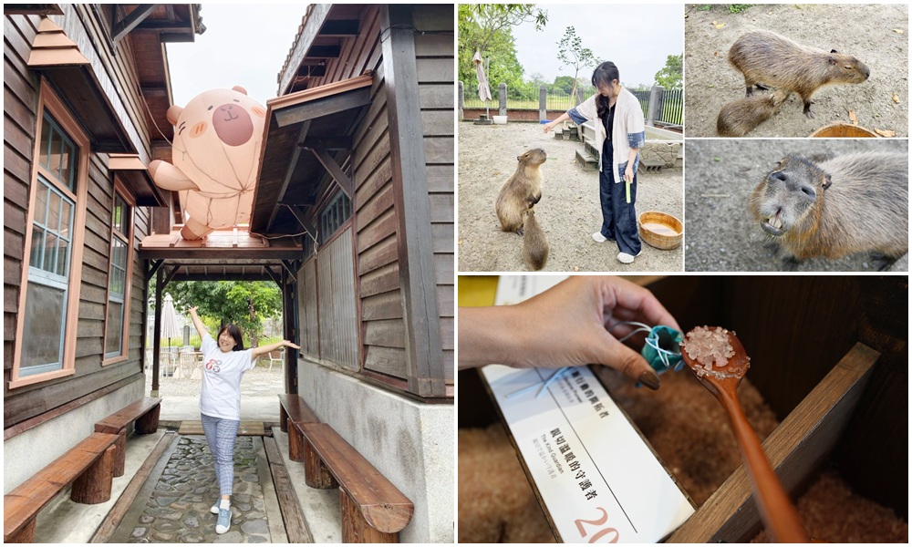 台南安平免門票景點。安平出張所 12花神の誕生鹽御守DIY、祈福鹽包、中藥香包 還有呆萌可愛小水豚君免費看！