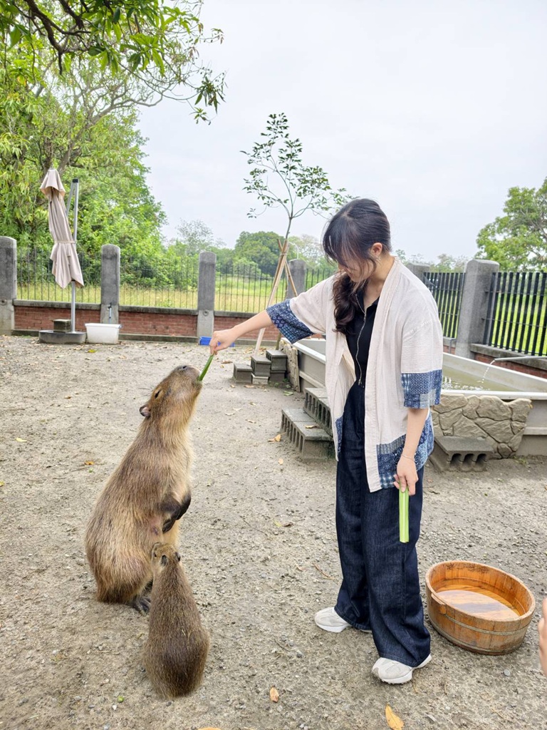 台南安平免門票景點。安平出張所 12花神の誕生鹽御守DIY、祈福鹽包、中藥香包 還有呆萌可愛小水豚君免費看！