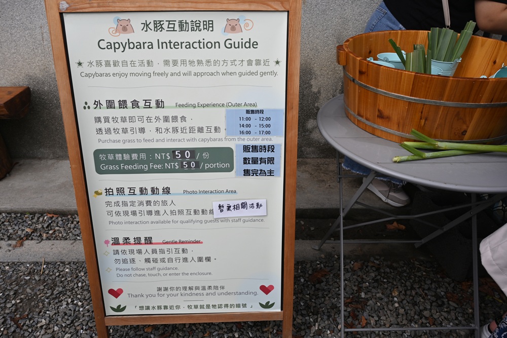 台南安平免門票景點。安平出張所 12花神の誕生鹽御守DIY、祈福鹽包、中藥香包 還有呆萌可愛小水豚君免費看！