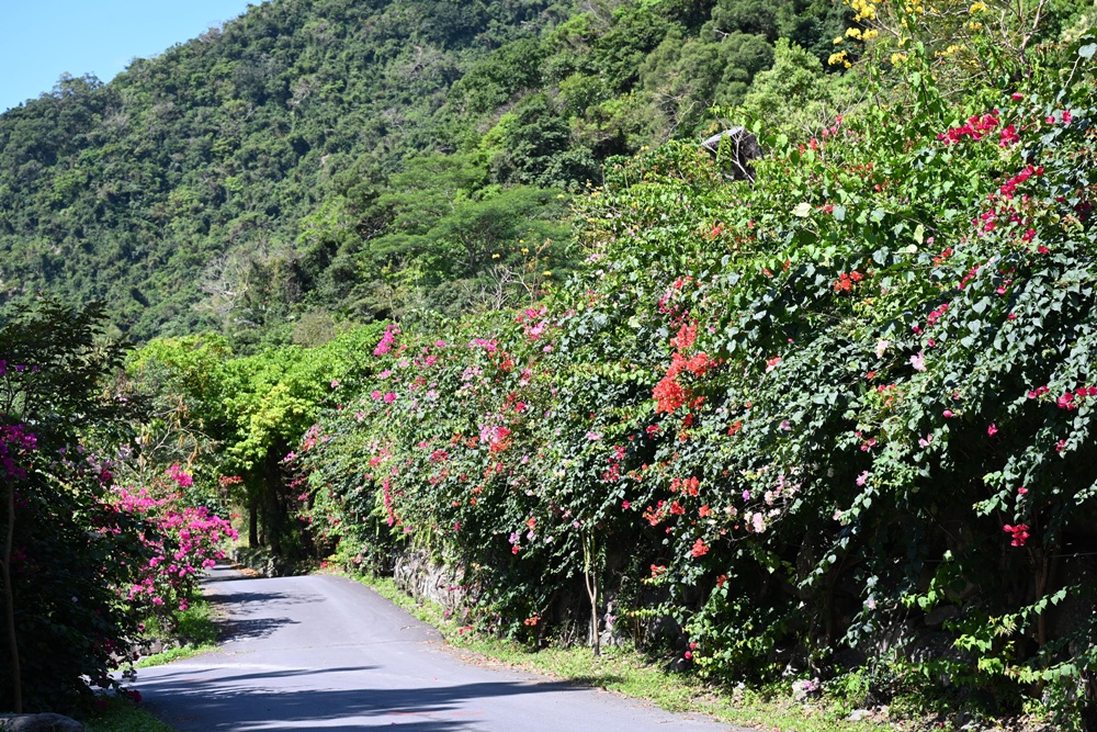 台東金峰一日遊。黃金山谷 森林系戶外溫泉、森林小火車、山谷漂漂河！