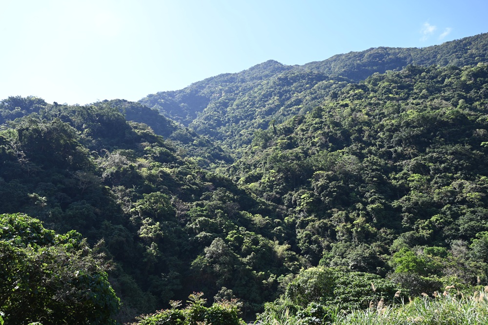 OPENING!金峰 東66線 | 小米文化一日遊(小米學堂、部落體驗、黃金山谷金崙新秘境、親水飄飄河) OPENING!金峰 東66線 | 小米文化一日遊(小米學堂、部落體驗、黃金山谷金崙新秘境、親水飄飄河)