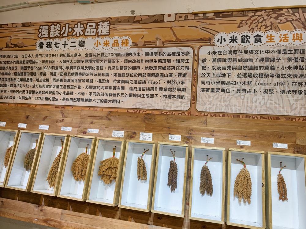 OPENING!金峰 東66線 | 小米文化一日遊(小米學堂、部落體驗、黃金山谷金崙新秘境、親水飄飄河) OPENING!金峰 東66線 | 小米文化一日遊(小米學堂、部落體驗、黃金山谷金崙新秘境、親水飄飄河)